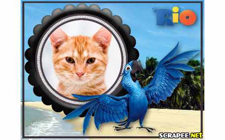 Moldura - Arara Blu Do Filme Rio