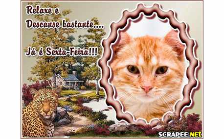 Moldura - Relaxe E Sexta Feira