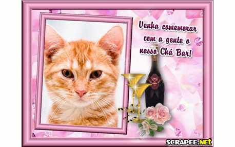 Moldura - Cha De Bar