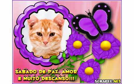 Moldura - Flores Roxas   Sabado