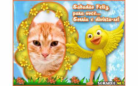 Moldura - Boneco Nico Do Filme Rio   Sabado