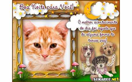 Moldura - Acontecimento Diario