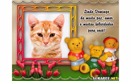 Moldura - Lindo Domingo   Ursinhos