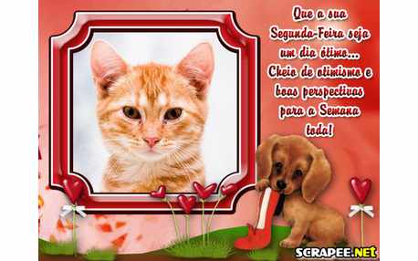 Moldura - Segunda Feira De Perspectivas