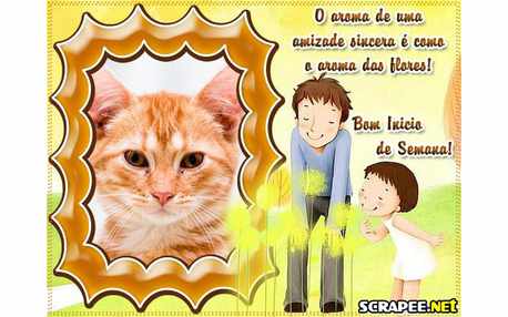 Moldura - Aroma Da Amizade