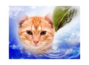 Moldura - Green Leaf