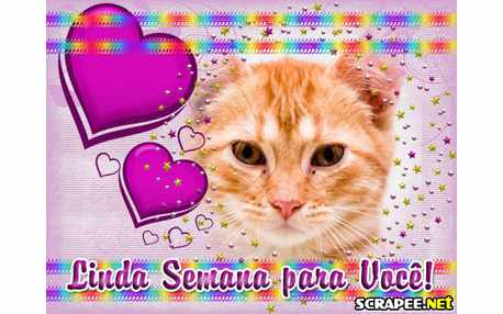 Moldura - Semana Otima