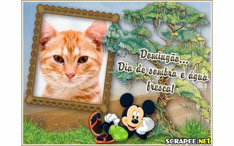 Moldura - Domingo   Sombra E Agua Fresca