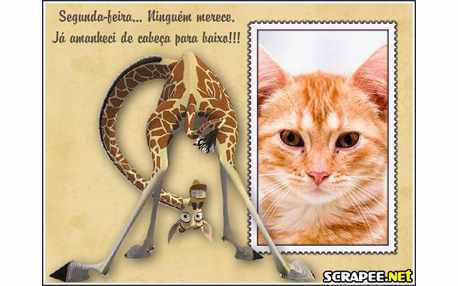 Moldura - Cabeca Para Baixo