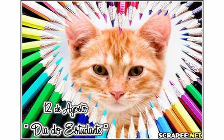 Moldura - Dia Do Estudante