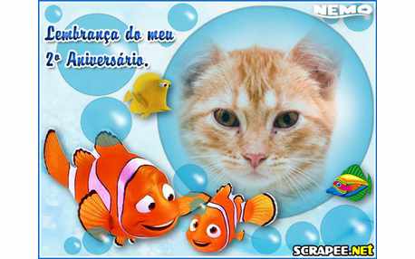 Moldura - Lembrancinha Para 2 Anos Do Nemo