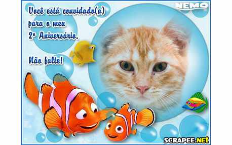 Moldura - Convite Para 2 Anos Do Nemo