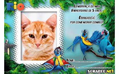 Moldura - Lembrancinha De 5 Anos Do Filme Rio