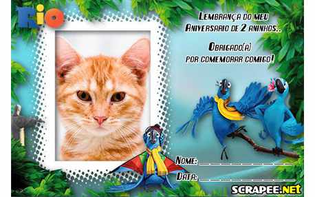 Moldura - Lembrancinha De 2 Anos Do Filme Rio