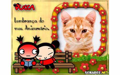 Moldura - Lembranca De Aniversario Da Pucca