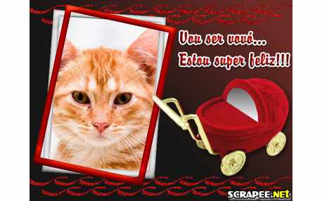 Moldura - Vou Ser Vovo