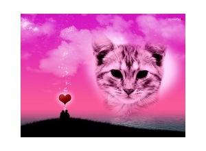 Moldura - Love Theme