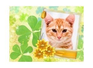 Moldura - Clover And Yellow Flower