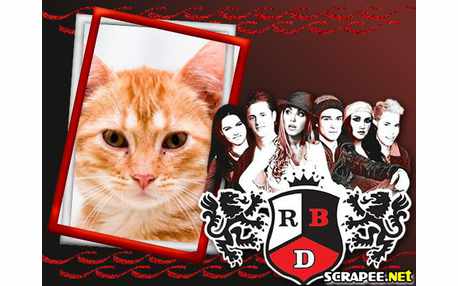 Moldura - Banda Rebelde