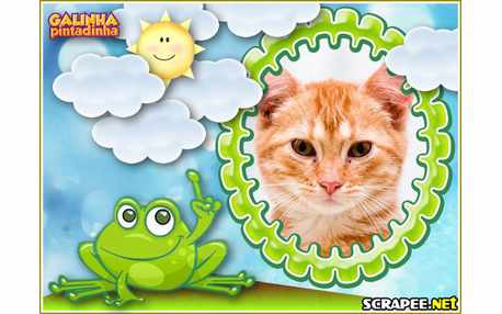 Moldura - Sapo Da Galinha Pintadinha