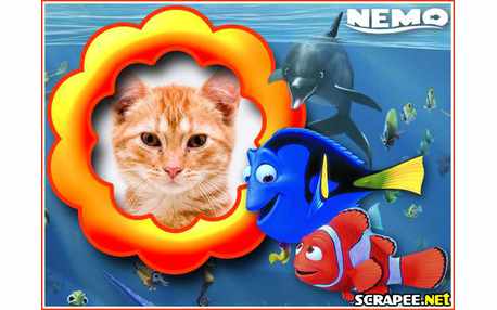 Moldura - Moldura Do Nemo