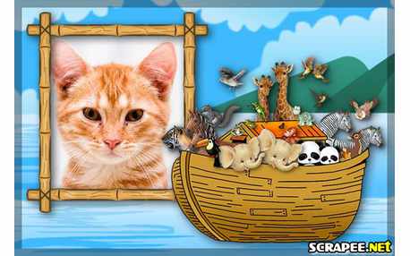 Moldura - Arca De Noe