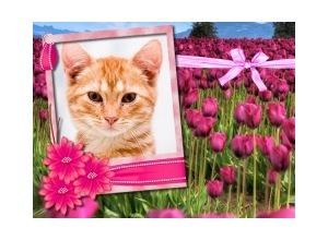 Moldura - Purple Flowers