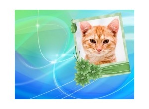 Moldura - Abstract Green