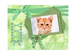 Moldura - Green Frame