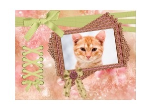 Moldura - Colour Frame