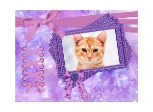 Moldura - Purple Frame