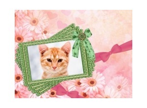 Moldura - Green And Pink