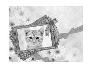 Moldura - Grayscale Photo Frame
