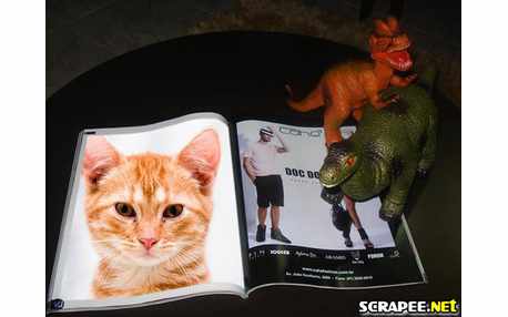 Moldura - Montagem Com Revista