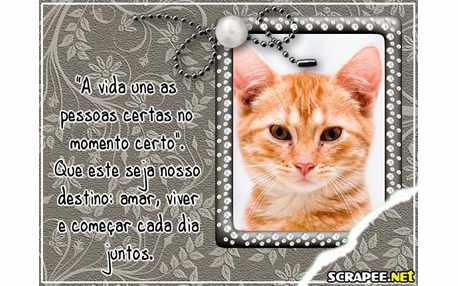 Moldura - Pessoa Certa   Matrimonio