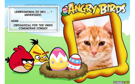 Moldura - Lembrancinha Angry Birds