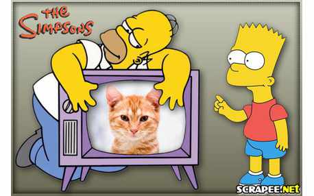 Moldura - Homer E Bart Simpsons