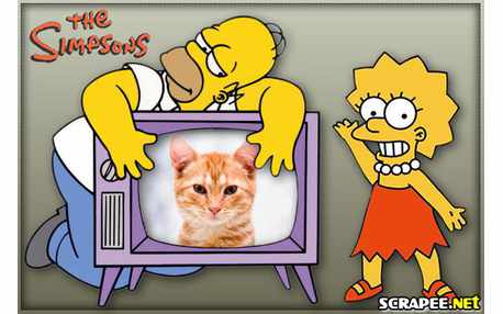 Moldura - Homer E Lisa Simpsons