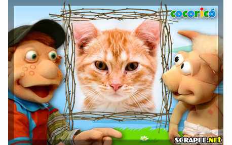 Moldura - Julio Do Cocorico