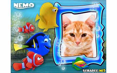 Moldura -  Nemo E Sua Turma