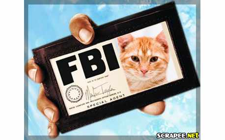 Moldura - Carteira Do Fbi Do Filme Vovozona