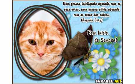 Moldura - Pessoa Inteligente