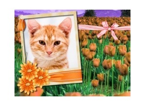 Moldura - Orange Flowers