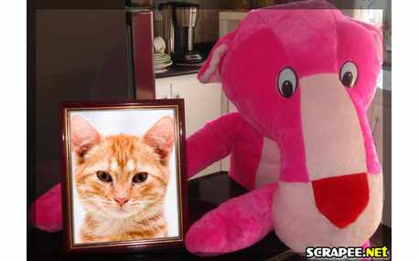 Moldura - Pantera Cor De Rosa E Porta Retrato