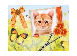 Moldura - The Zipper