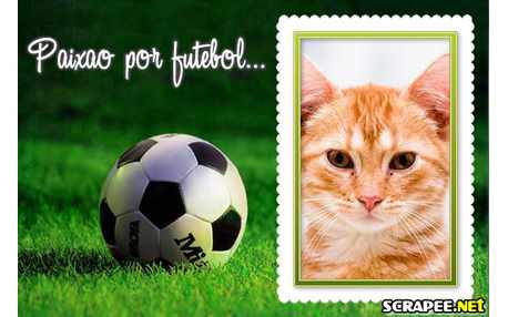 Moldura - Paixao Por Futebol