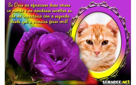 Moldura - Moldura Com Frase De Elogio