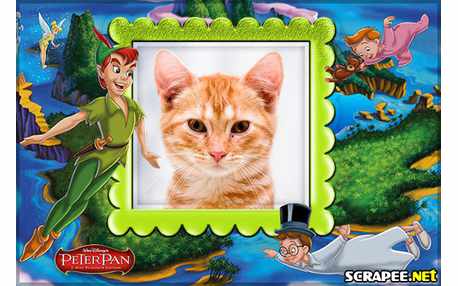 Moldura - Moldura Peter Pan