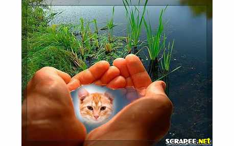 Moldura - Foto Refletida Na Agua