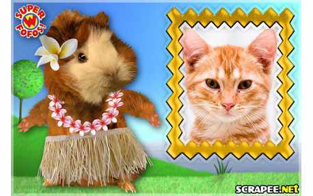 Moldura - Linny   Super Fofos